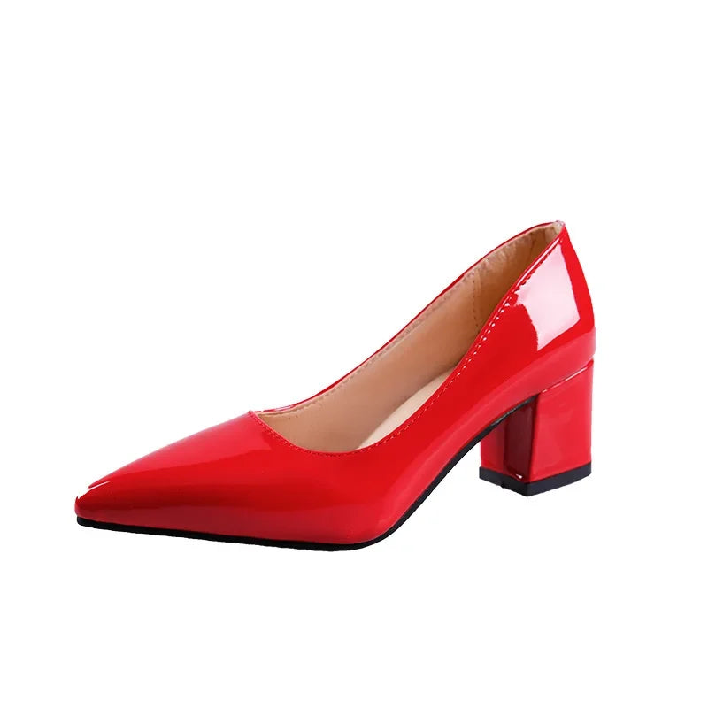 High-heeled Shoes for Women 2024 Pointed Shallow Mouth Shoes Women's Chunky Heel Fashion Shoes Plus Size 43 Zapatos Para Mujer