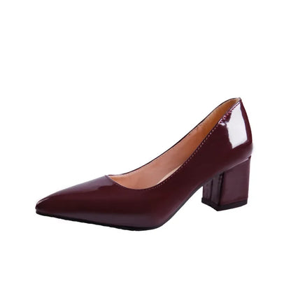 High-heeled Shoes for Women 2024 Pointed Shallow Mouth Shoes Women's Chunky Heel Fashion Shoes Plus Size 43 Zapatos Para Mujer